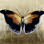 Marr_Brad_golden_butterfly